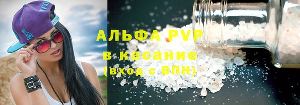 прущие грибы Краснотурьинск