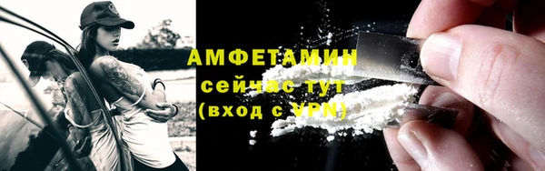 прущие грибы Краснотурьинск
